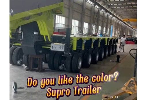 The Power and Choice of Color